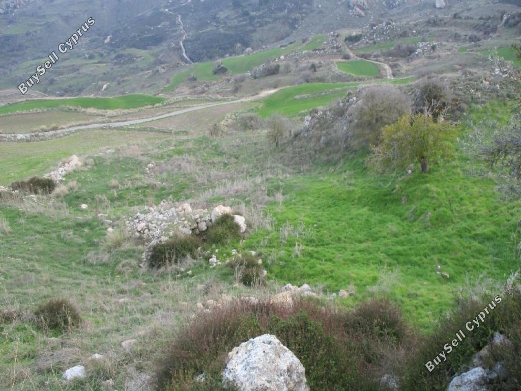 land for sale drousia paphos 946163 image 15599917