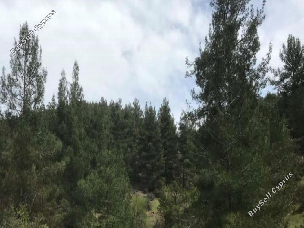 land for sale farmakas nicosia 8716263 image 16295804