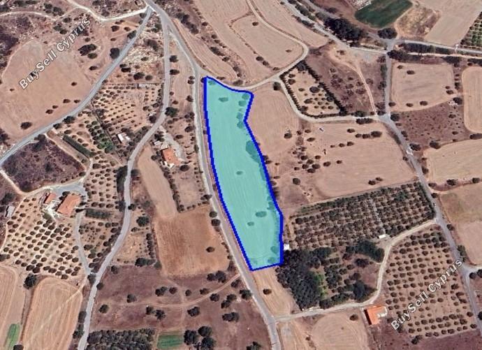 land for sale kalavasos larnaca 1547263 image 5884273