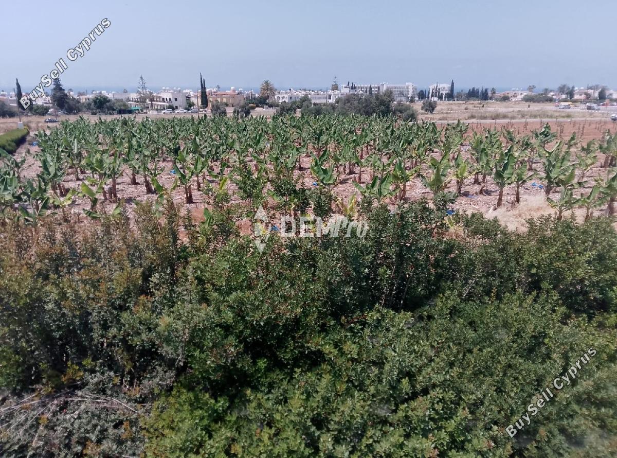 4 bedroom detached house for rent peyia paphos 8804363 image 16787697
