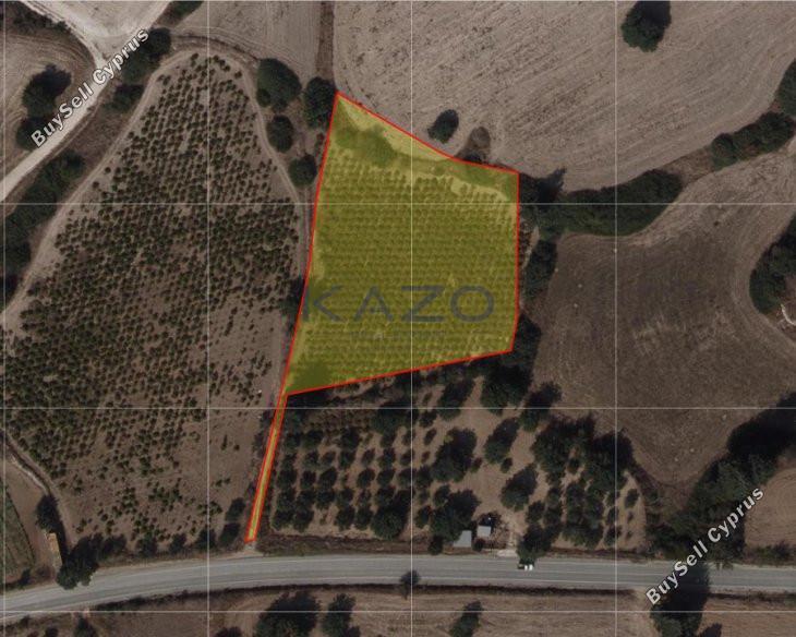 land for sale pissouri limassol 1735363 image 13167450