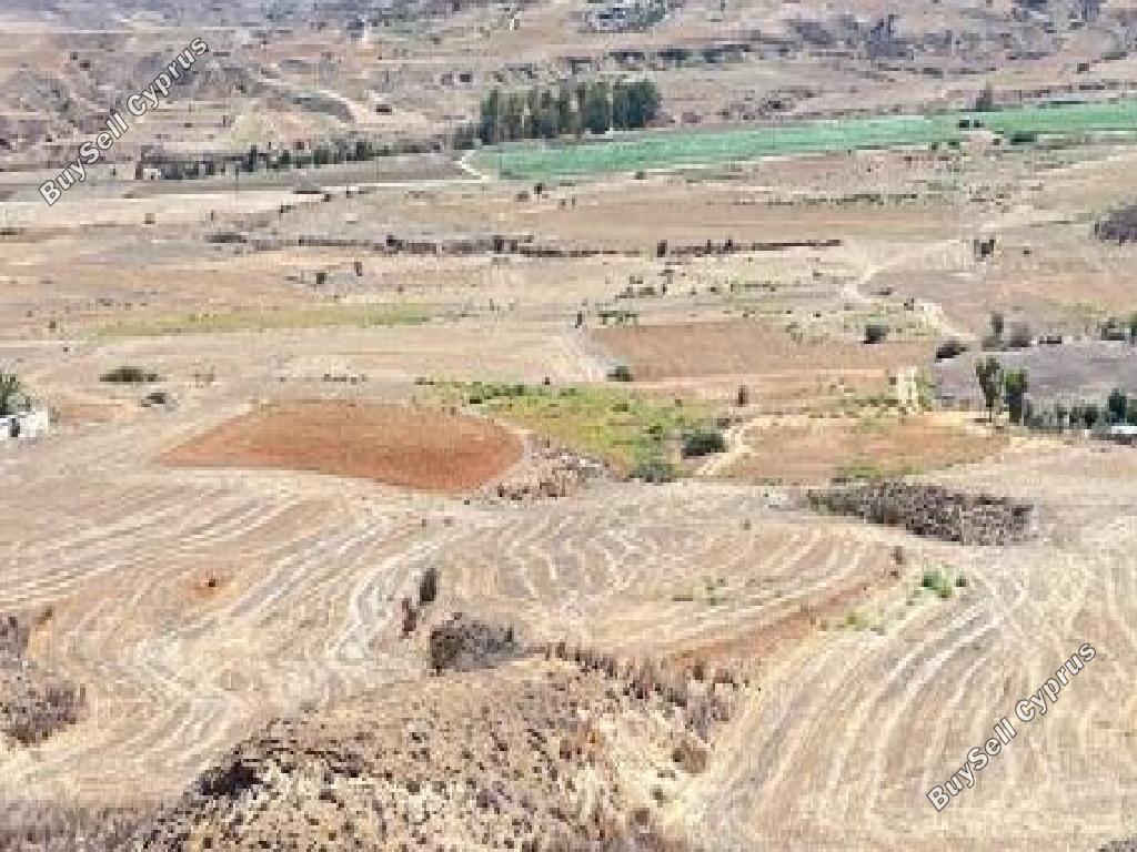 land for sale agioi trimithias nicosia 8106463 image 13239703