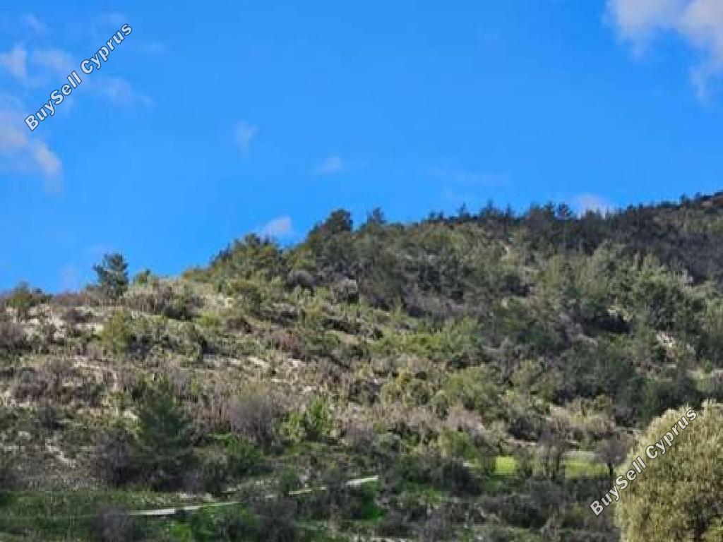 land for sale amargeti paphos 1667463 image 17420462