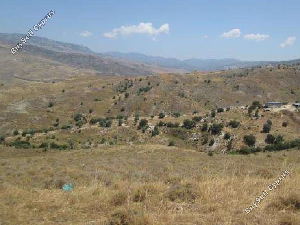 land for sale kelokedara paphos 1619463 image 15598037