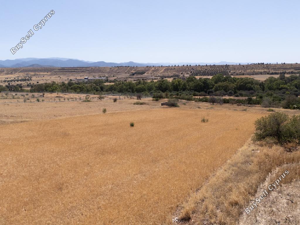 land for sale orounta nicosia 947463 image 7343281
