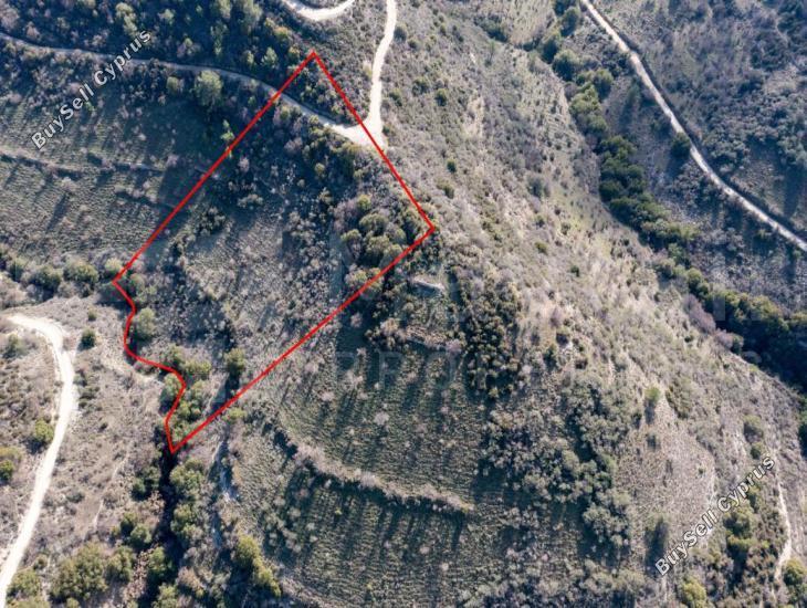 plot for sale dora limassol 7871463 image 11381370