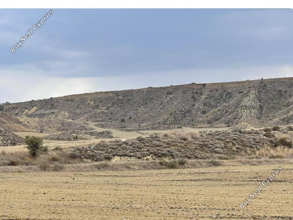 land for sale agrokipia nicosia 1744563 image 4766581