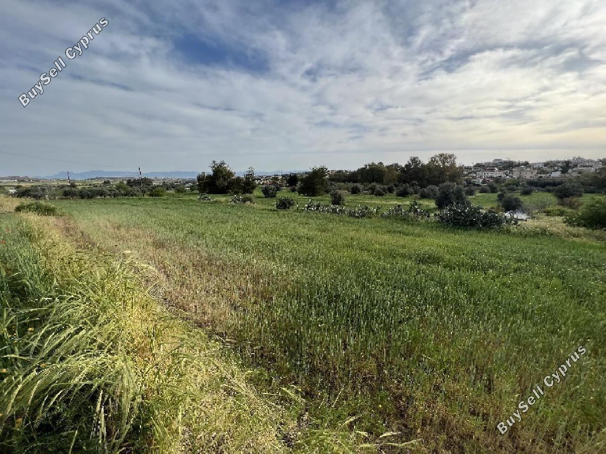 land for sale klirou nicosia 8726563 image 16332187