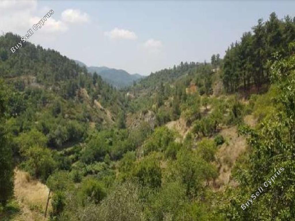 land for sale pelendri limassol 7805563 image 15596411