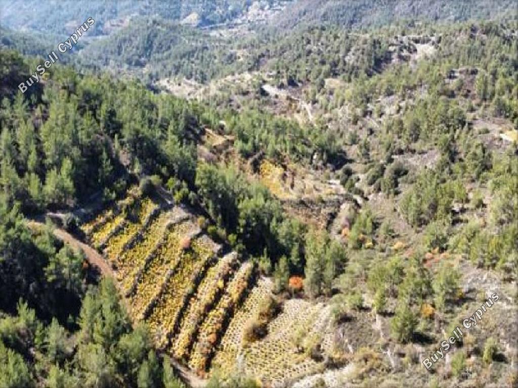 land for sale pelendri limassol 7805563 image 17420121