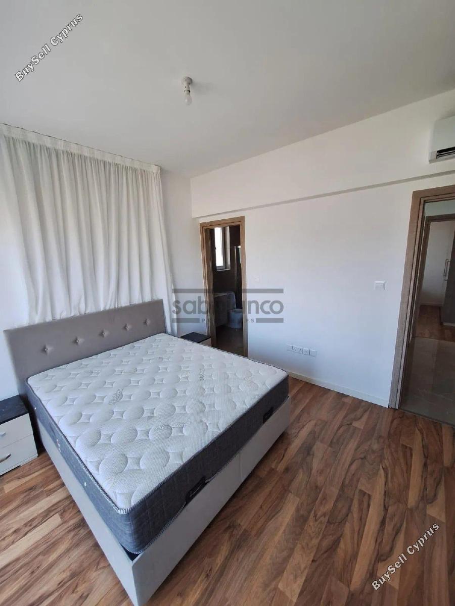 2 bedroom apartment for rent chrysopolitissa larnaca 8747663 image 16454992