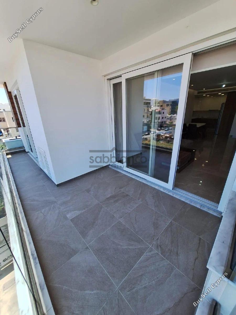 2 bedroom apartment for rent chrysopolitissa larnaca 8747663 image 16455005