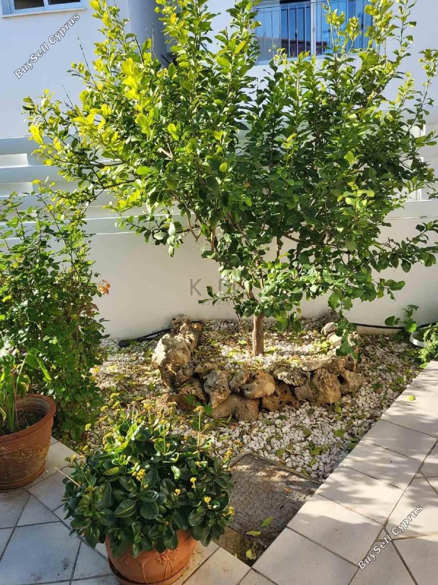 3 bedroom detached house for sale strovolos nicosia 8798663 image 16720487