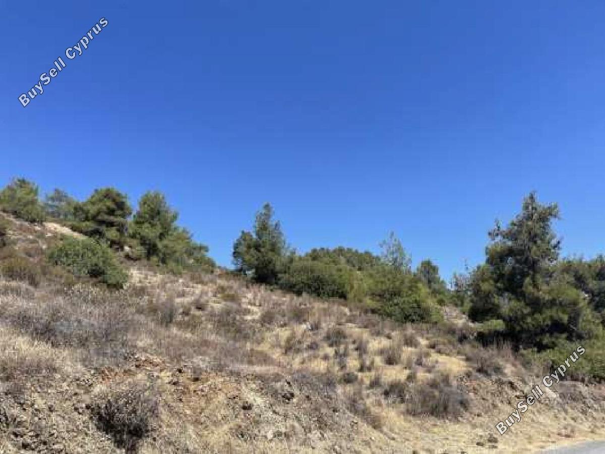 land for sale fikardou nicosia 8726663 image 16333221