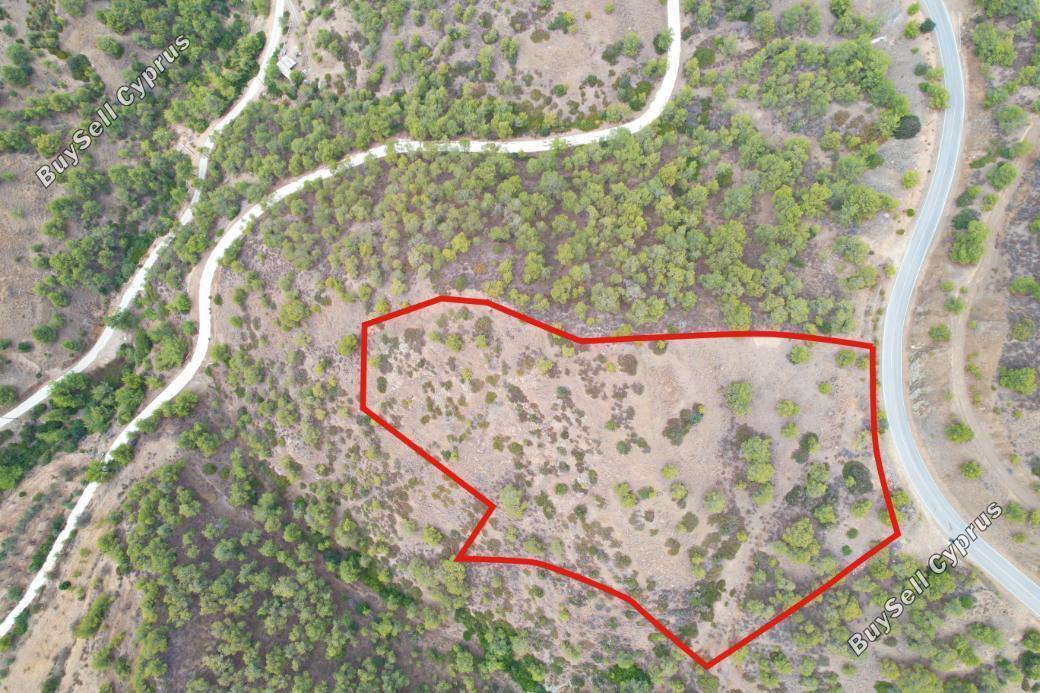 land for sale pano pyrgos nicosia 839663 image 4553432