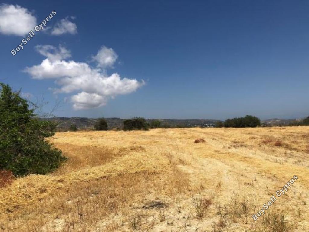 land for sale stroumbi paphos 824663 image 15599612