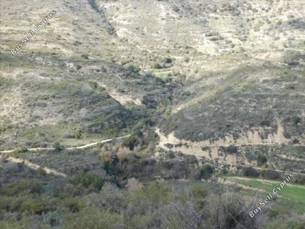 2007 SQM Land for sale in Dora, Limassol 15602283