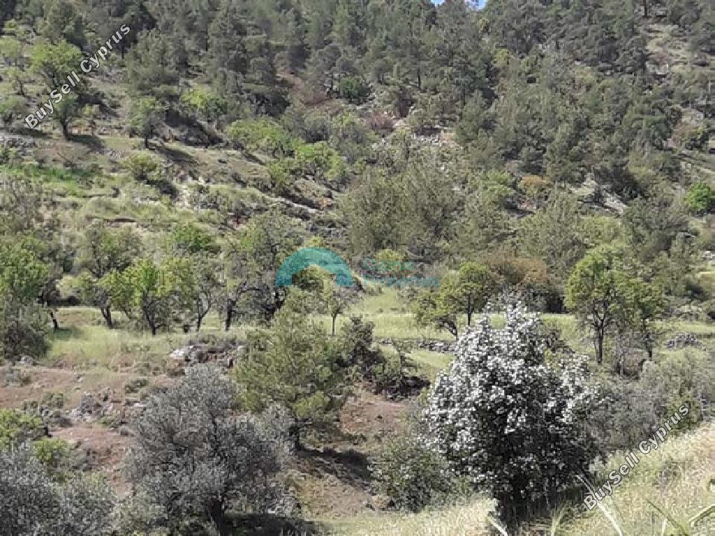 2174 SQM Land for sale in Agios Epifanios Oreinis, Nicosia 7138792