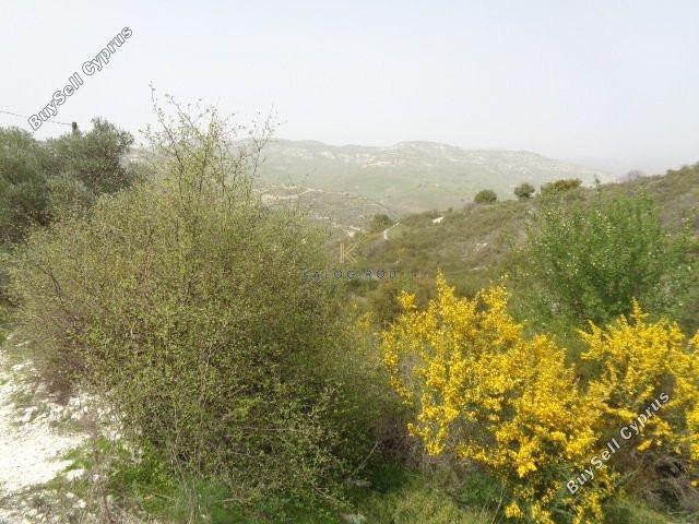 land for sale dora limassol 1194763 image 5570348