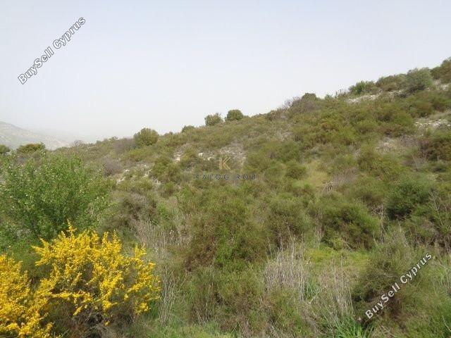 land for sale dora limassol 1194763 image 5570351
