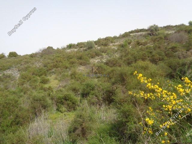 land for sale dora limassol 1194763 image 5570353