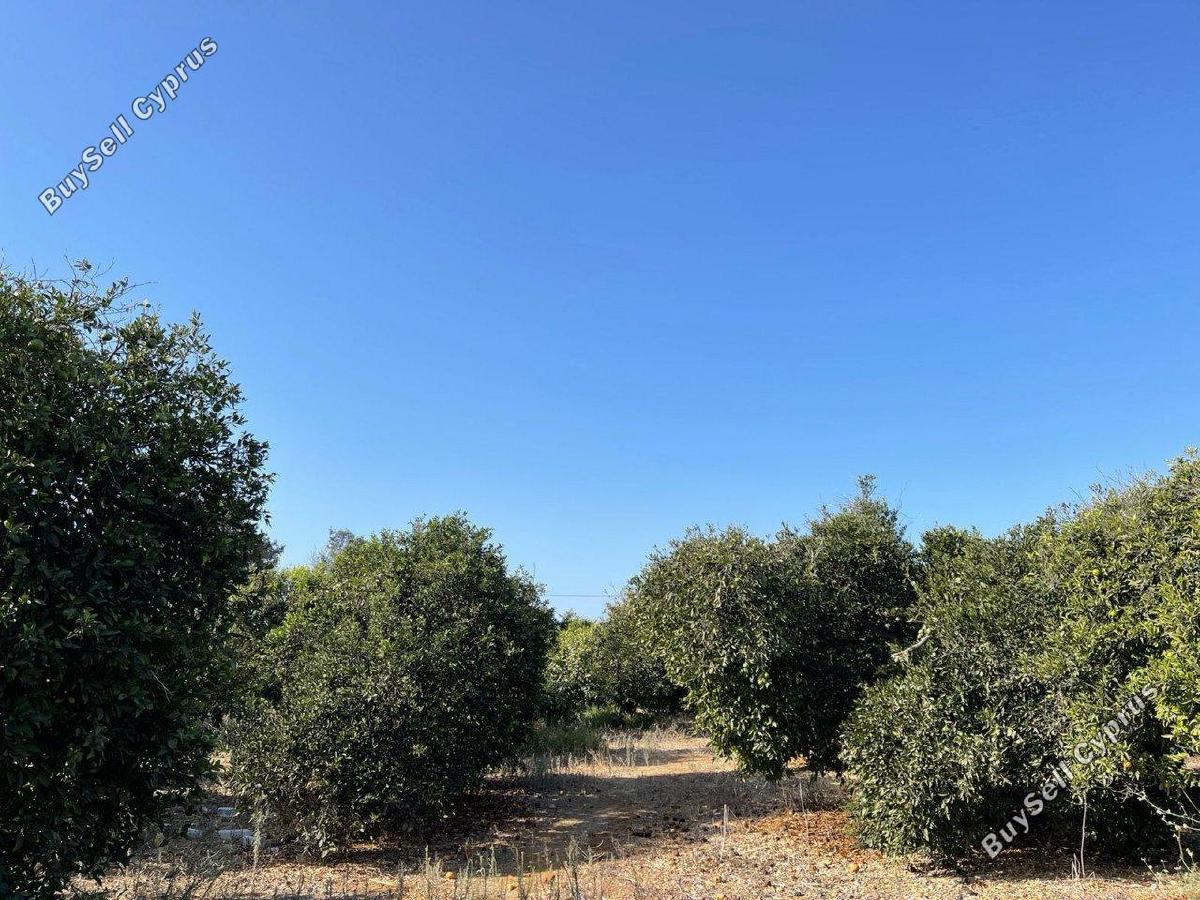 land for sale trachoni lemesou limassol 1681763 image 4378672
