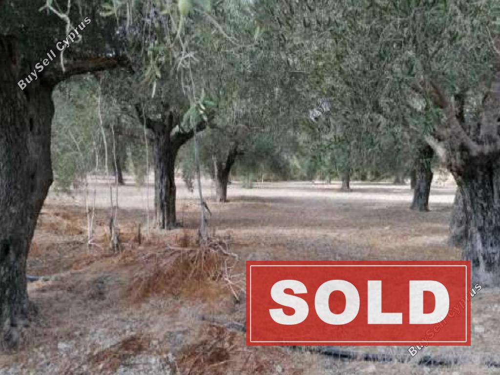 land sold anafotida larnaca 987763 image 927587