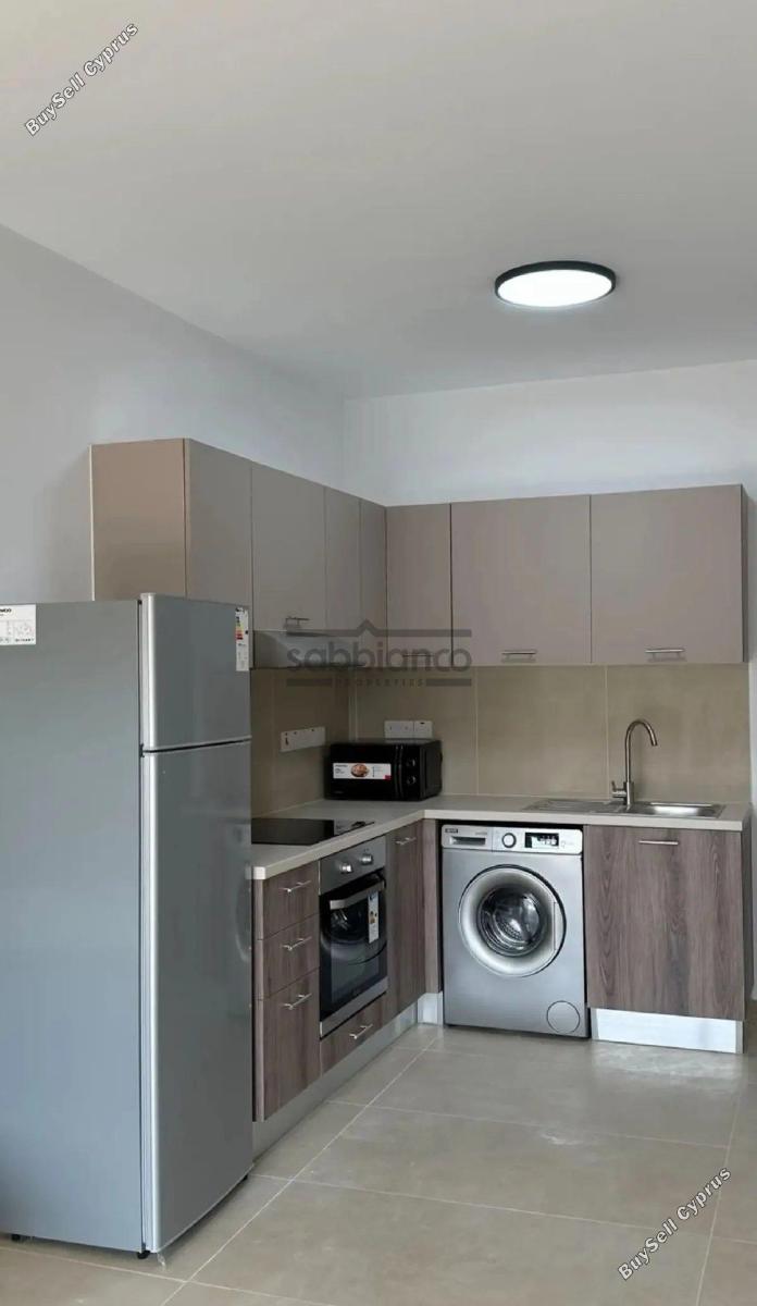 1 bedroom apartment for rent aglantzia nicosia 8740863 image 16387125