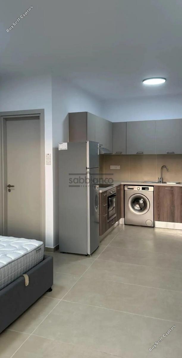 1 bedroom apartment for rent aglantzia nicosia 8740863 image 16387126