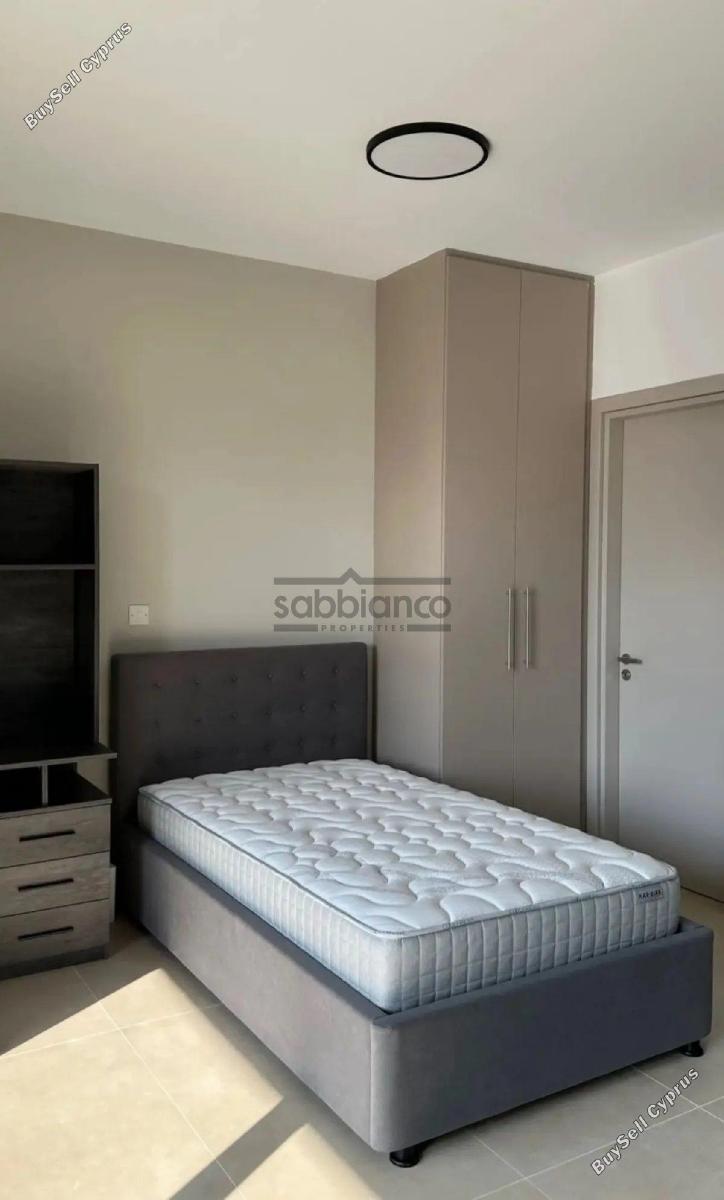 1 bedroom apartment for rent aglantzia nicosia 8740863 image 16387127