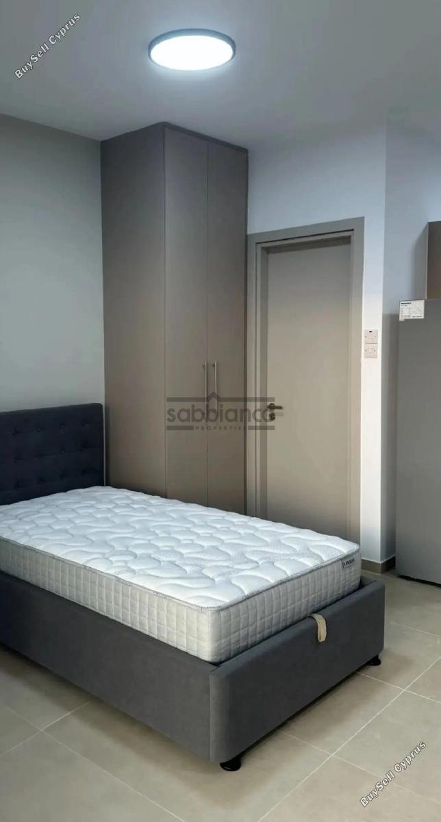 1 bedroom apartment for rent aglantzia nicosia 8740863 image 16387130