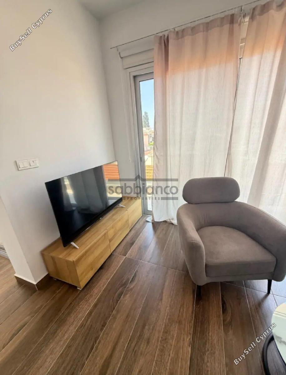 1 bedroom apartment for rent limassol municipality limassol 8771863 image 16585535