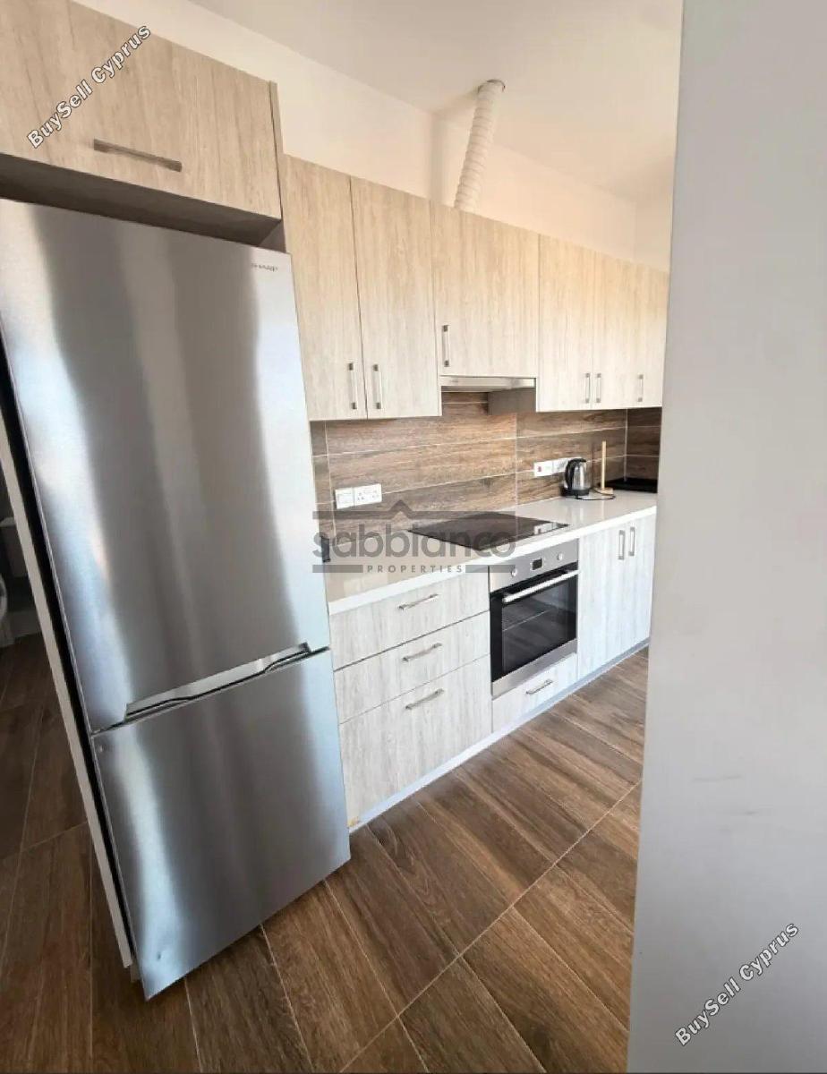 1 bedroom apartment for rent limassol municipality limassol 8771863 image 16585546