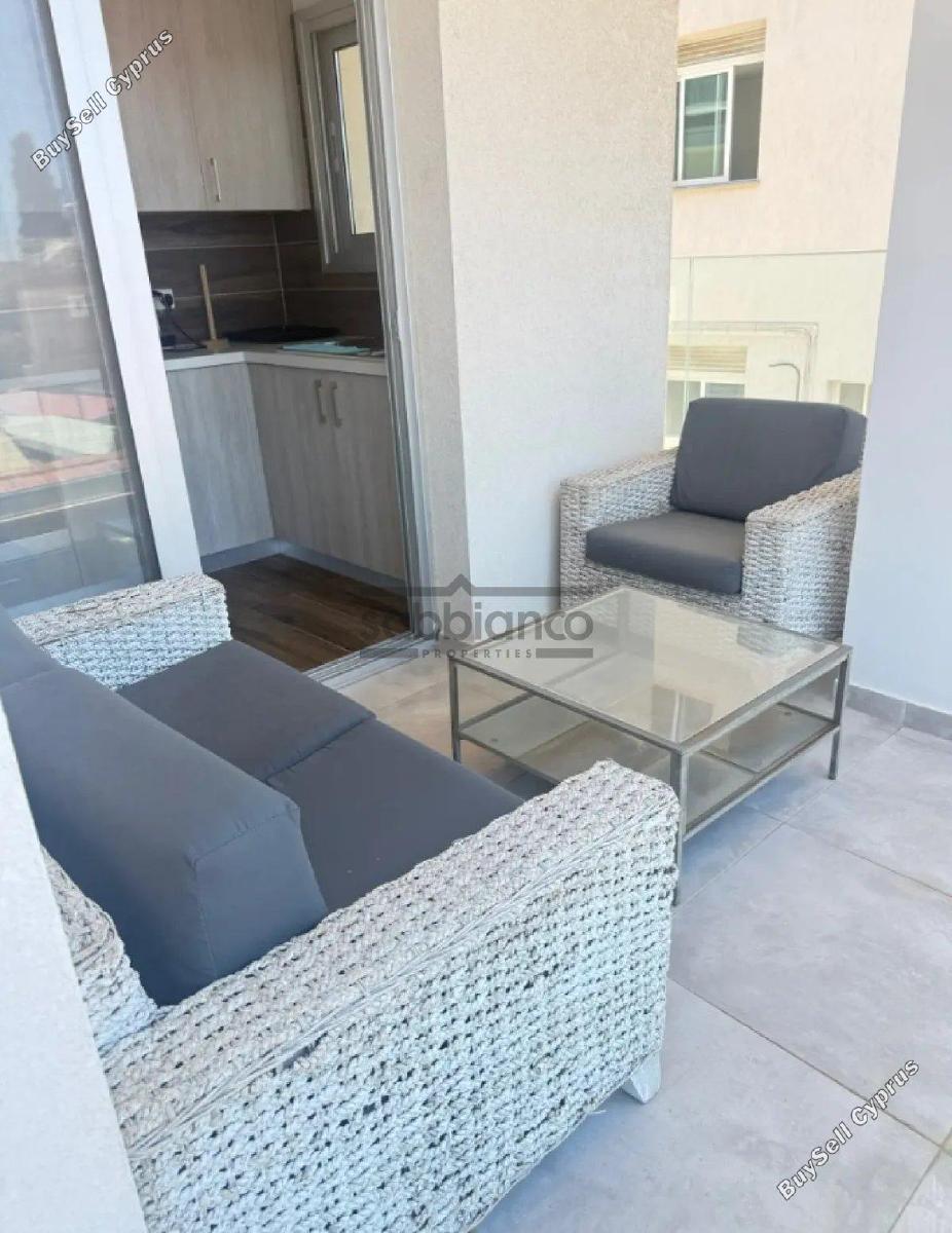 1 bedroom apartment for rent limassol municipality limassol 8771863 image 16585550