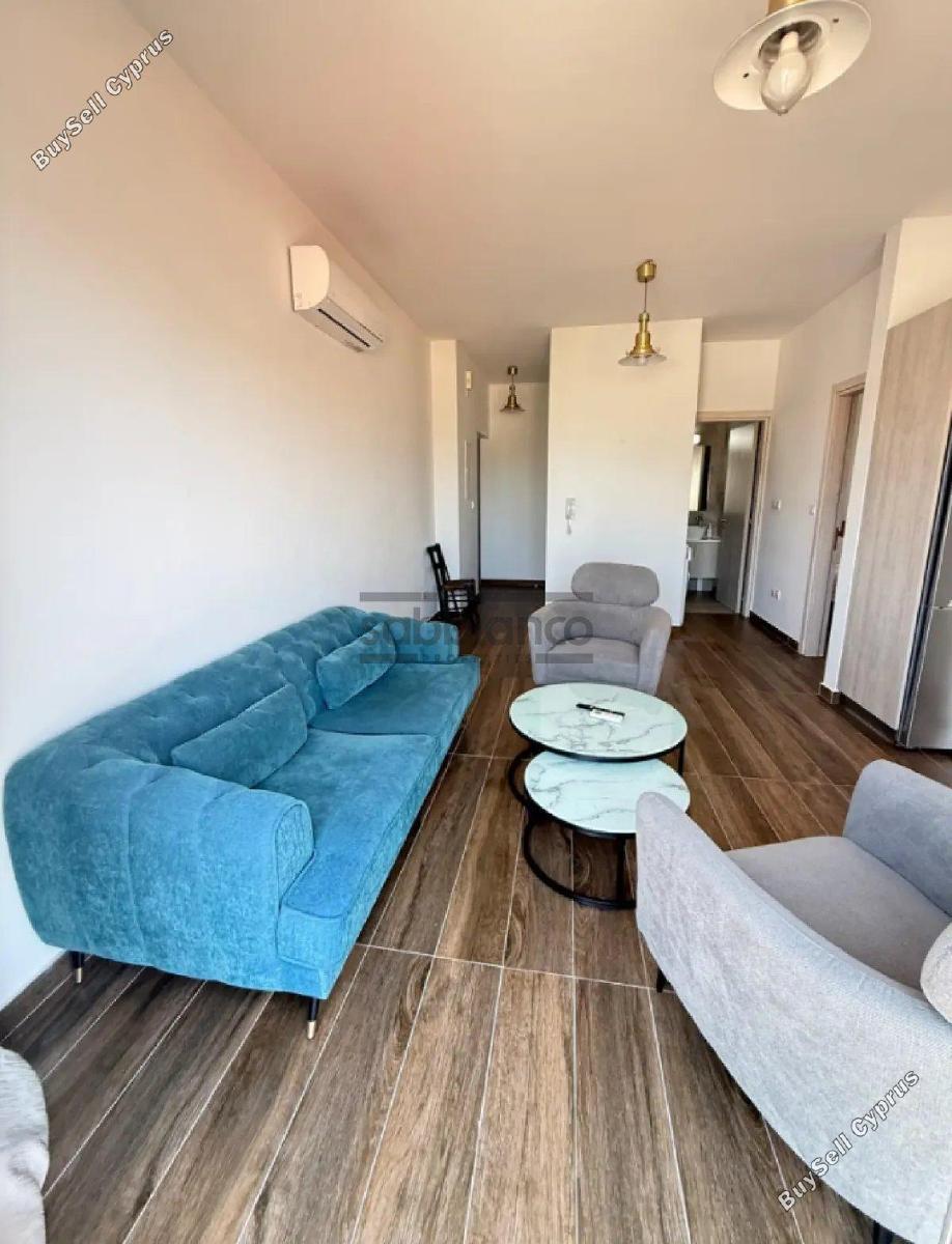 1 bedroom apartment for rent limassol municipality limassol 8771863 image 16585553
