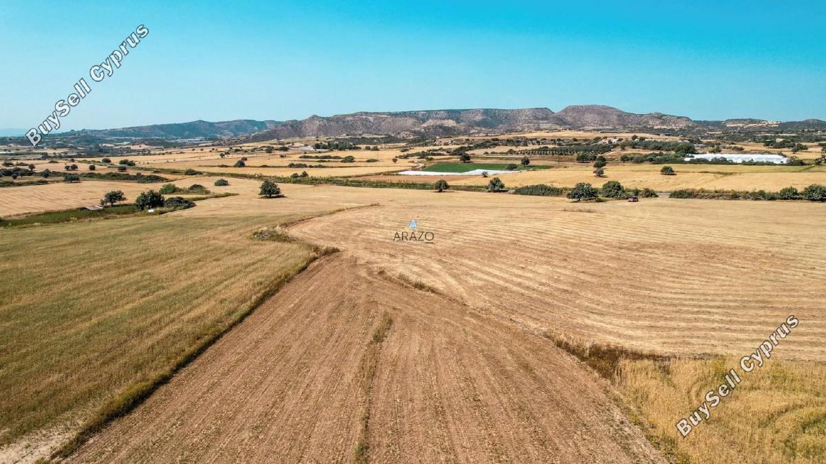 land for sale agios theodoros larnacas larnaca 1335863 image 5641454