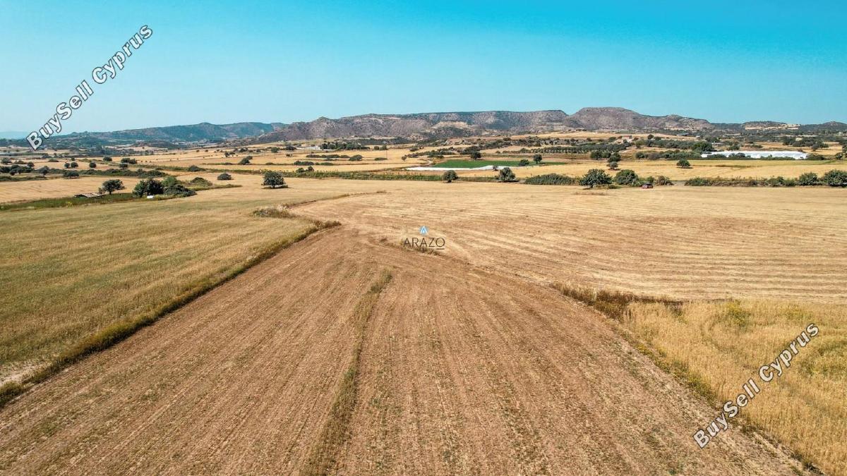 land for sale agios theodoros larnacas larnaca 1335863 image 5641459