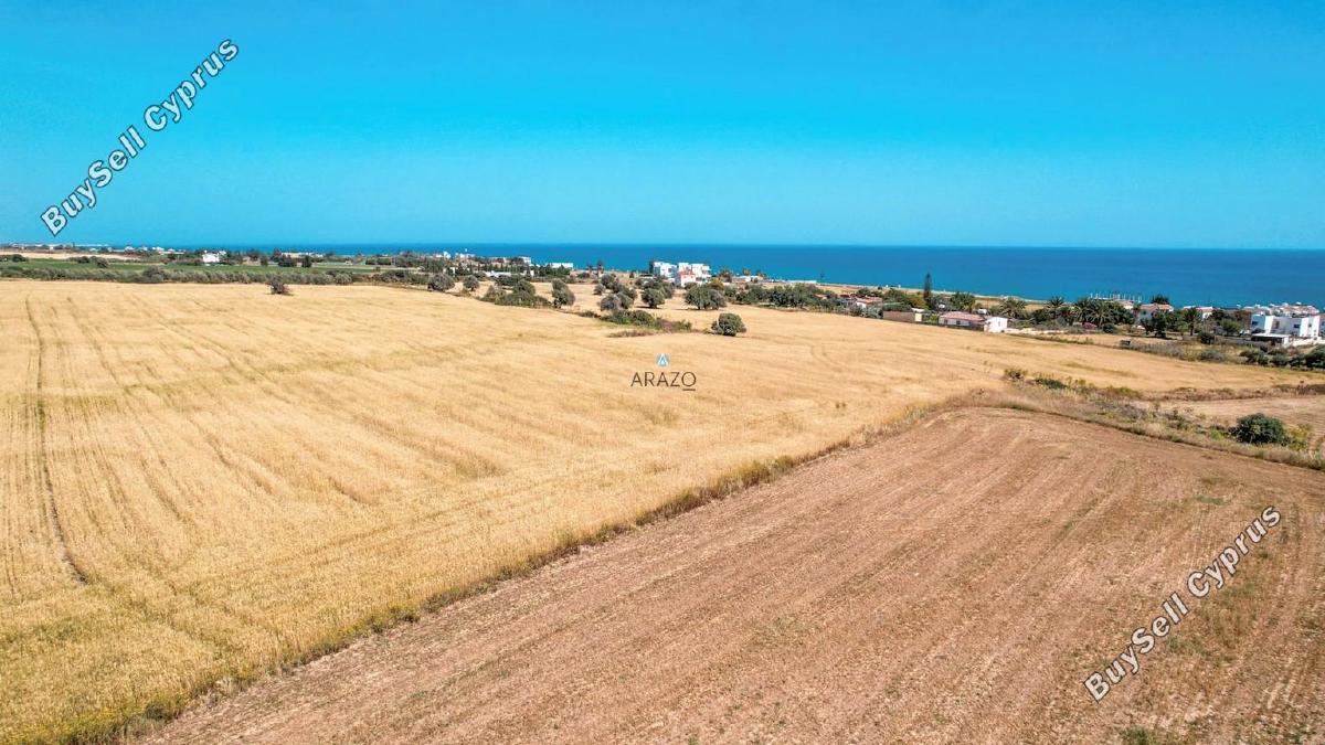 land for sale agios theodoros larnacas larnaca 1335863 image 5641472