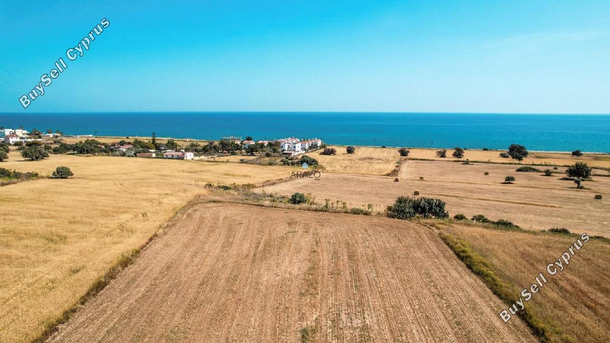 land for sale agios theodoros larnacas larnaca 1335863 image 5641482
