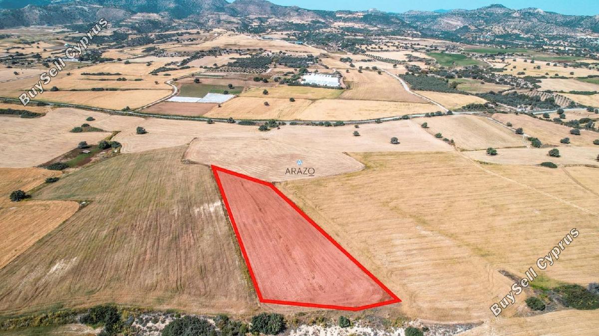 land for sale agios theodoros larnacas larnaca 1335863 image 5641494