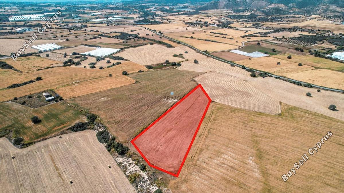 land for sale agios theodoros larnacas larnaca 1335863 image 5641498