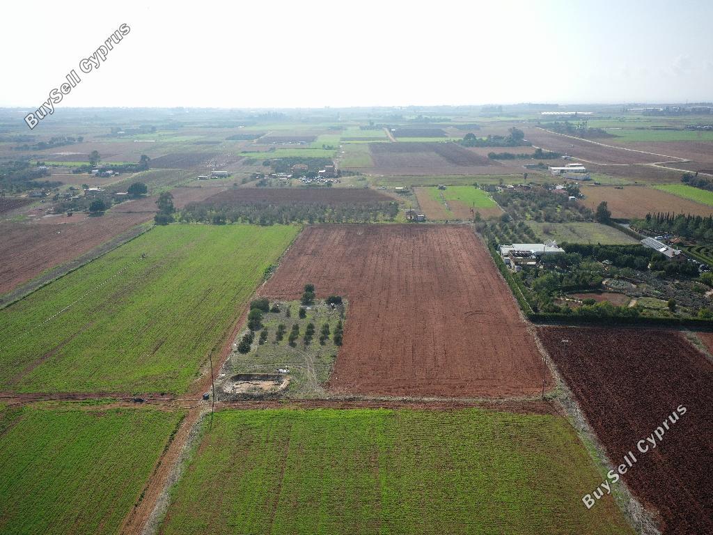 land for sale avgorou famagusta 1262863 image 9883354