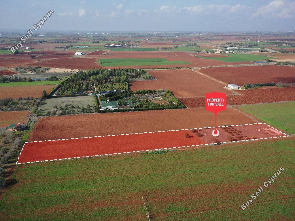 land for sale avgorou famagusta 1262863 image 9883360
