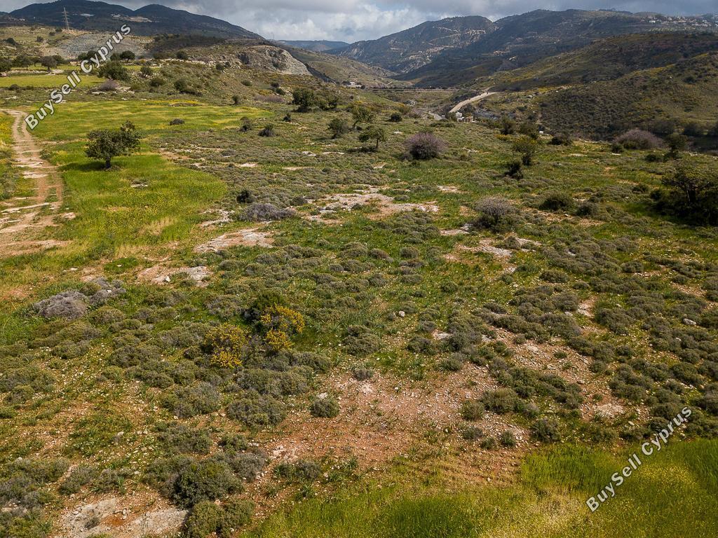 land for sale peyia paphos 1330863 image 2458850