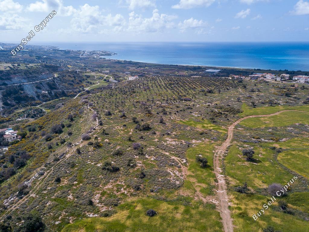 land for sale peyia paphos 1330863 image 2458855