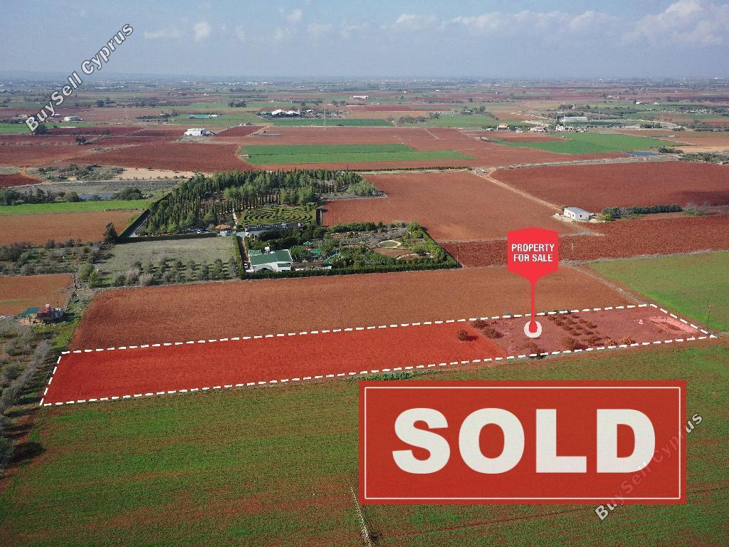 land sold avgorou famagusta 1262863 image 9883360
