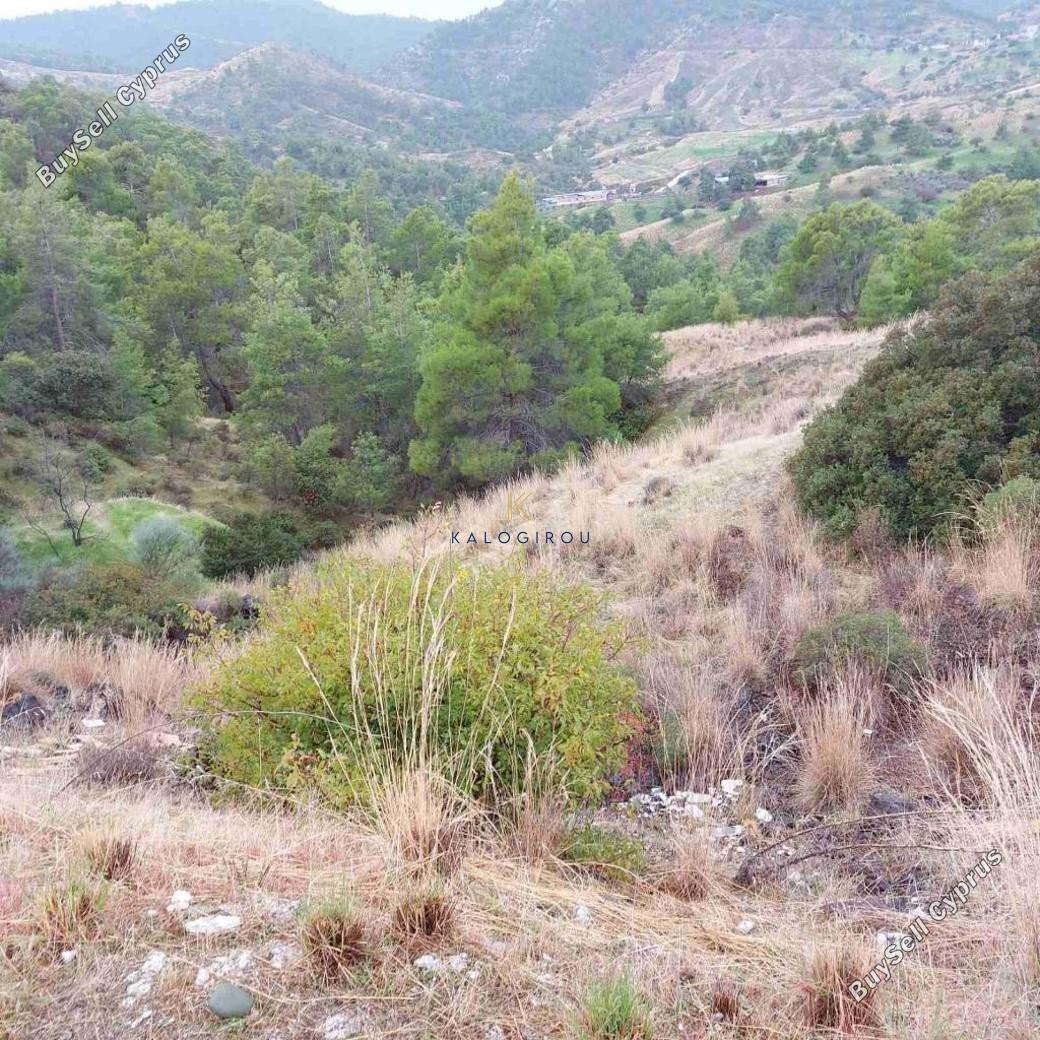 plot for sale pano pyrgos nicosia 1194863 image 5572068