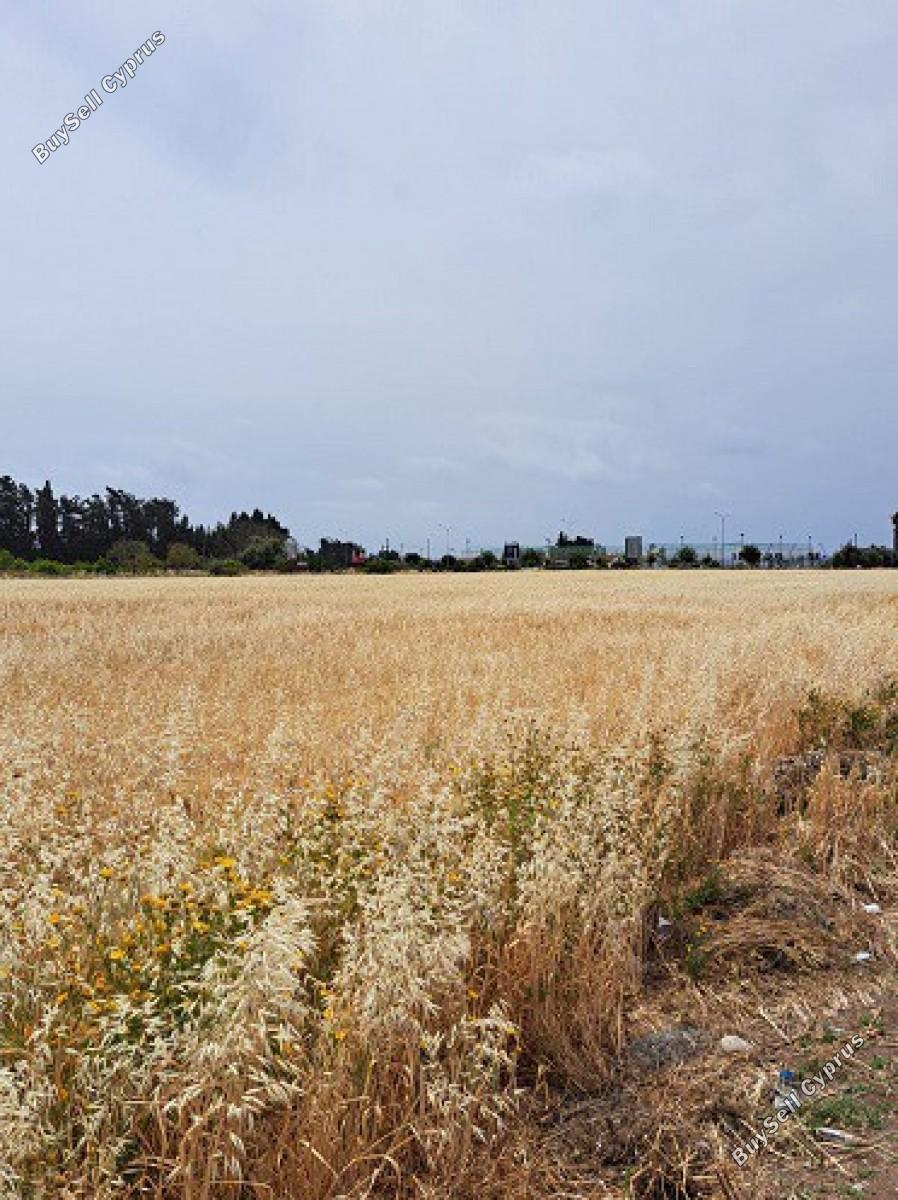 land for sale geroskipou paphos 8395963 image 14822599
