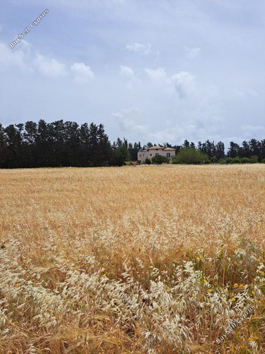 land for sale geroskipou paphos 8395963 image 14822600
