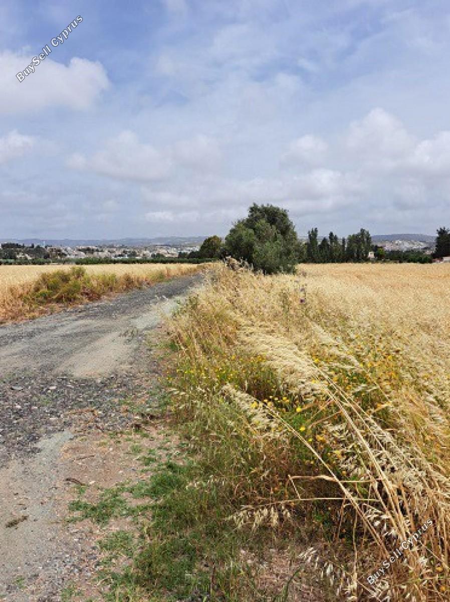 land for sale geroskipou paphos 8395963 image 14822601